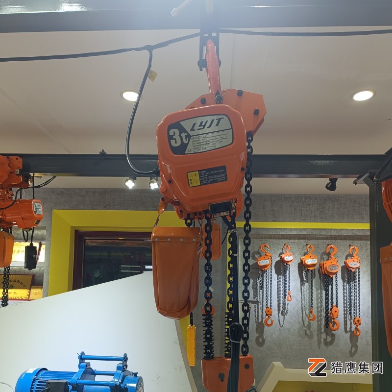 環(huán)鏈電動葫蘆發(fā)展趨勢-廠家來分析